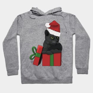 Crochet Christmas Kitty Hoodie